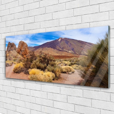 Plexiglas® Wall Art Mountains landscape green yellow brown grey