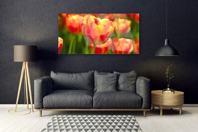 Plexiglas® Wall Art Tulips floral yellow red