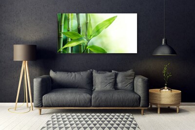 Plexiglas® Wall Art Bamboo canes floral green