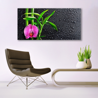 Plexiglas® Wall Art Bamboo tube flower floral pink green