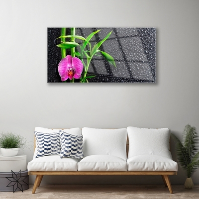 Plexiglas® Wall Art Bamboo tube flower floral pink green