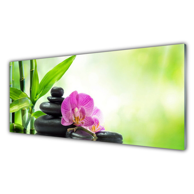 Plexiglas® Wall Art Bamboo tube flower stones floral green black pink