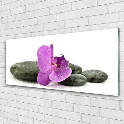 Plexiglas® Wall Art Flower stones art pink black