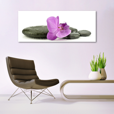 Plexiglas® Wall Art Flower stones art pink black