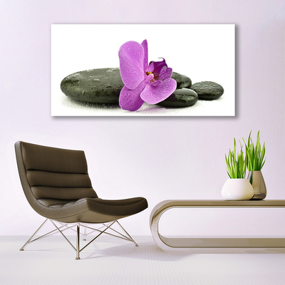 Plexiglas® Wall Art Flower stones art pink black