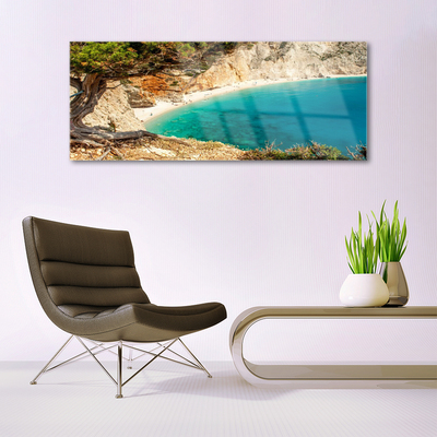 Plexiglas® Wall Art Bay tree landscape blue brown green