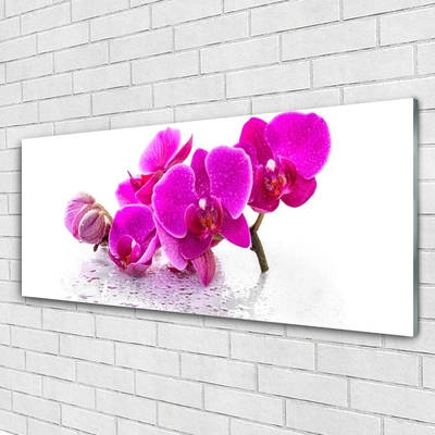 Plexiglas® Wall Art Flowers floral pink