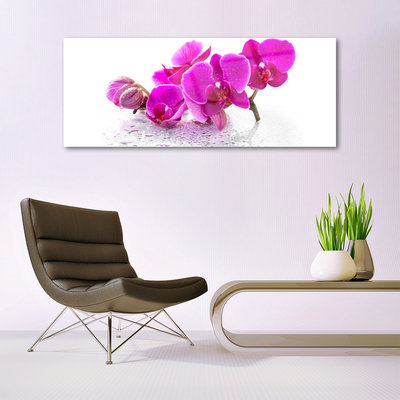 Plexiglas® Wall Art Flowers floral pink