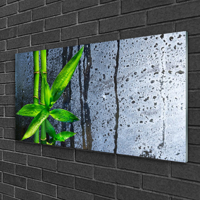 Plexiglas® Wall Art Bamboo stalks floral green