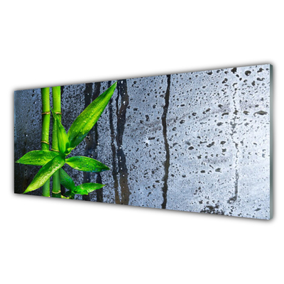 Plexiglas® Wall Art Bamboo stalks floral green