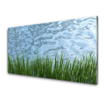 Plexiglas® Wall Art Grass water nature green blue