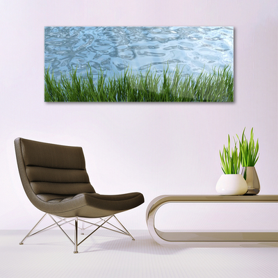 Plexiglas® Wall Art Grass water nature green blue