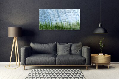 Plexiglas® Wall Art Grass water nature green blue