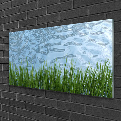 Plexiglas® Wall Art Grass water nature green blue