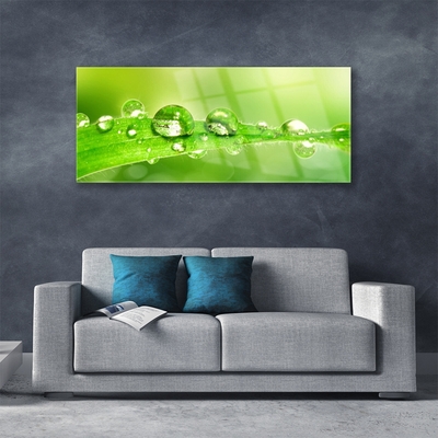 Plexiglas® Wall Art Leaf dewdrops floral green