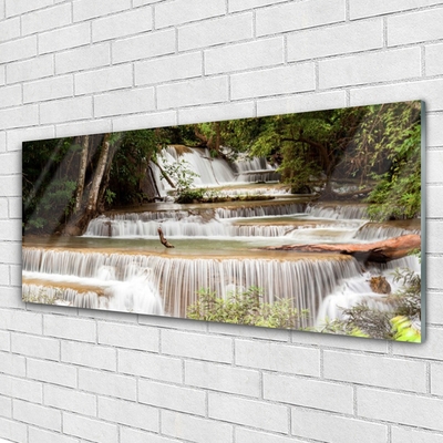 Plexiglas® Wall Art Waterfall forest nature white brown green