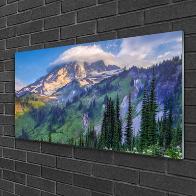 Plexiglas® Wall Art Mountain forest landscape grey green