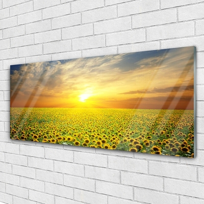 Plexiglas® Wall Art Sun meadow sunflowers nature yellow brown green