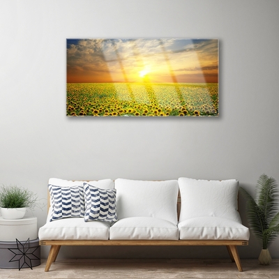 Plexiglas® Wall Art Sun meadow sunflowers nature yellow brown green