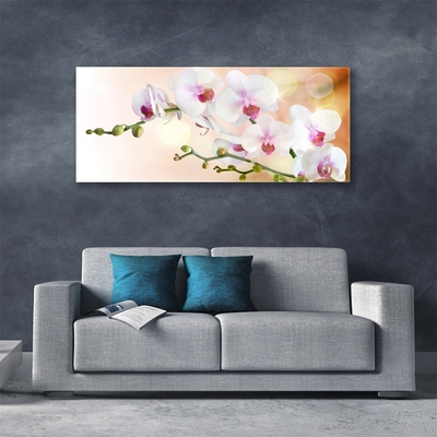 Plexiglas® Wall Art Flowers floral white pink
