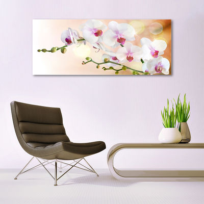 Plexiglas® Wall Art Flowers floral white pink
