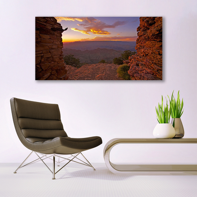Plexiglas® Wall Art Rock landscape brown