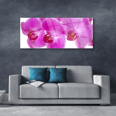 Plexiglas® Wall Art Flowers floral pink