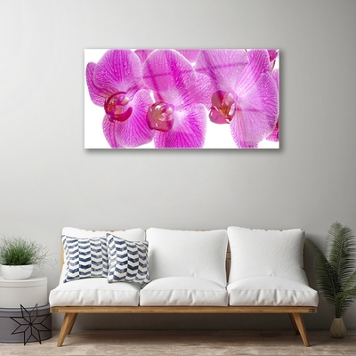 Plexiglas® Wall Art Flowers floral pink