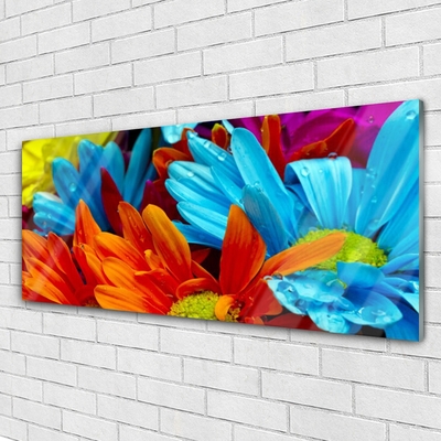 Plexiglas® Wall Art Flowers floral red blue orange