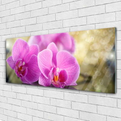 Plexiglas® Wall Art Flowers floral pink