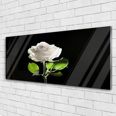 Plexiglas® Wall Art Rose floral white