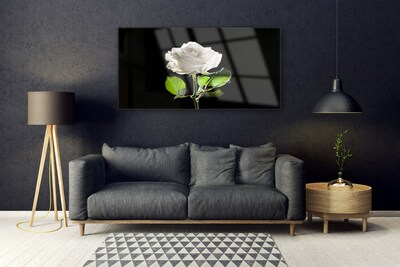 Plexiglas® Wall Art Rose floral white