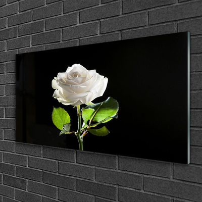 Plexiglas® Wall Art Rose floral white