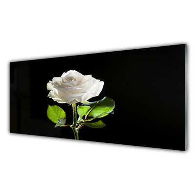 Plexiglas® Wall Art Rose floral white