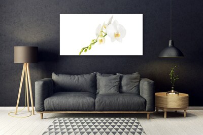 Plexiglas® Wall Art Flowers floral white