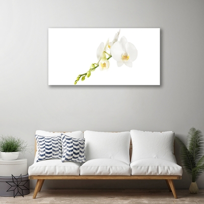 Plexiglas® Wall Art Flowers floral white