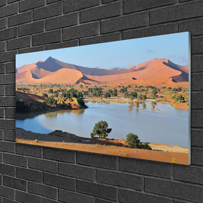 Plexiglas® Wall Art Bay desert landscape brown green blue