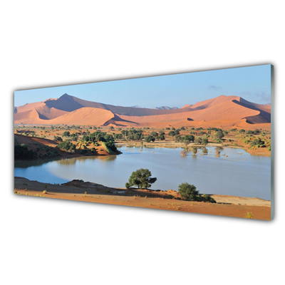 Plexiglas® Wall Art Bay desert landscape brown green blue