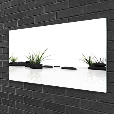 Plexiglas® Wall Art Grass stones art black green