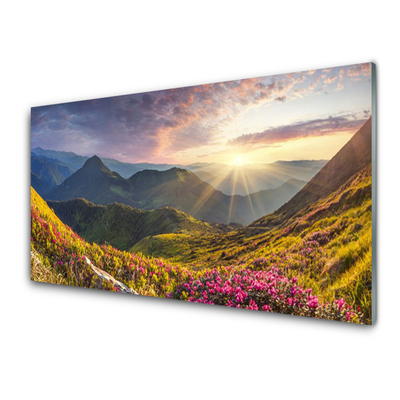 Plexiglas® Wall Art Mountain meadow sun landscape grey blue yellow green red