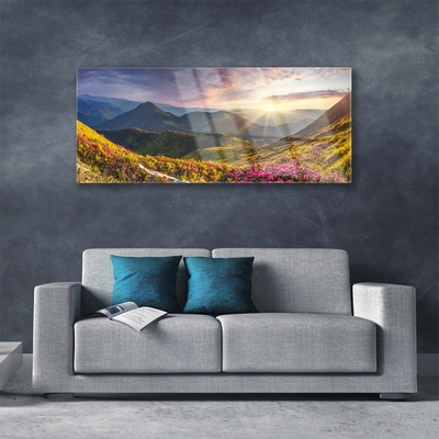 Plexiglas® Wall Art Mountain meadow sun landscape grey blue yellow green red