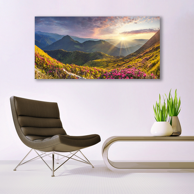 Plexiglas® Wall Art Mountain meadow sun landscape grey blue yellow green red