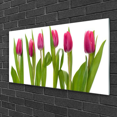 Plexiglas® Wall Art Tulips floral red