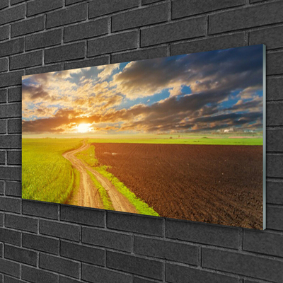 Plexiglas® Wall Art Acker footpath landscape green brown