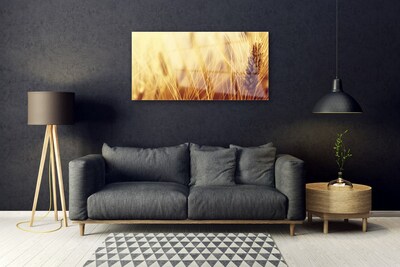 Plexiglas® Wall Art Wheat floral brown