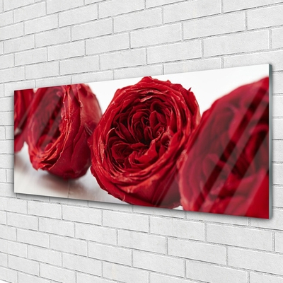 Plexiglas® Wall Art Roses floral red