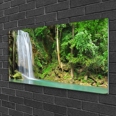 Plexiglas® Wall Art Waterfall forest nature white blue brown green