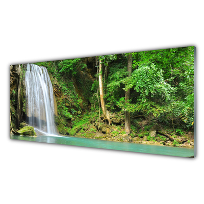 Plexiglas® Wall Art Waterfall forest nature white blue brown green