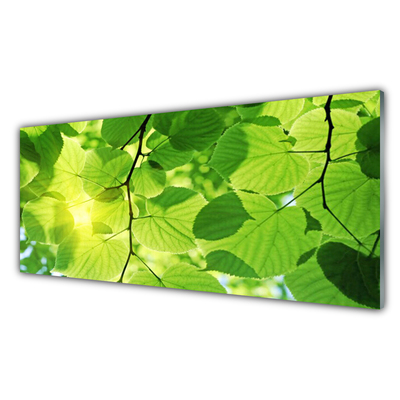 Plexiglas® Wall Art Leaves floral green brown