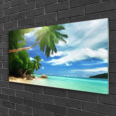 Plexiglas® Wall Art Palm tree beach sea landscape brown green blue